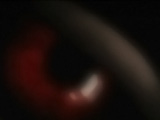 Dead Frontier Outbreak
